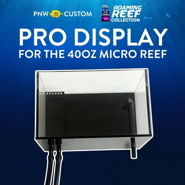 Micro Reef Pro Display | RR Collection