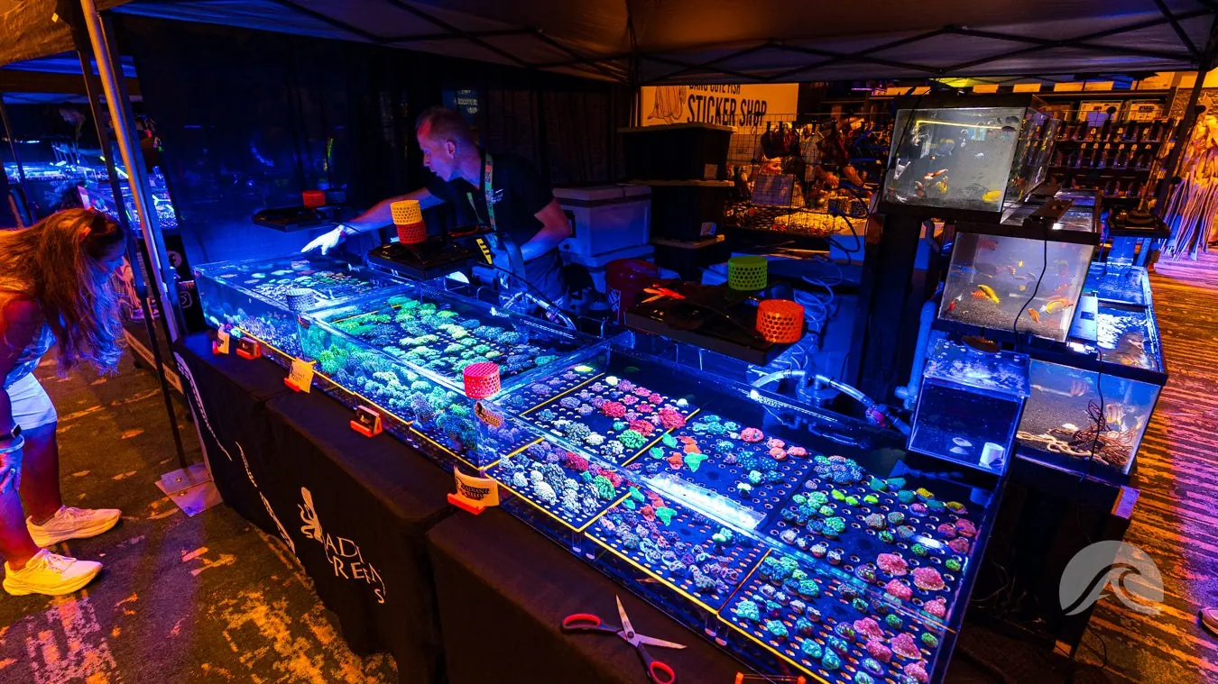 Reef-A-Palooza show floor